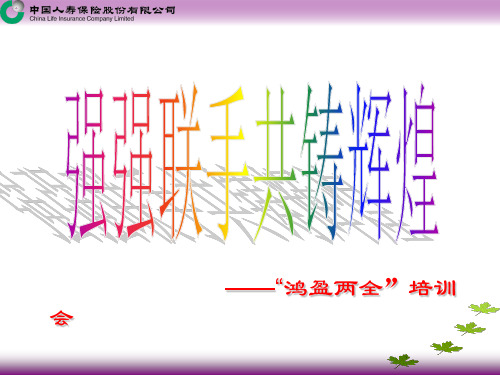 鸿盈两全