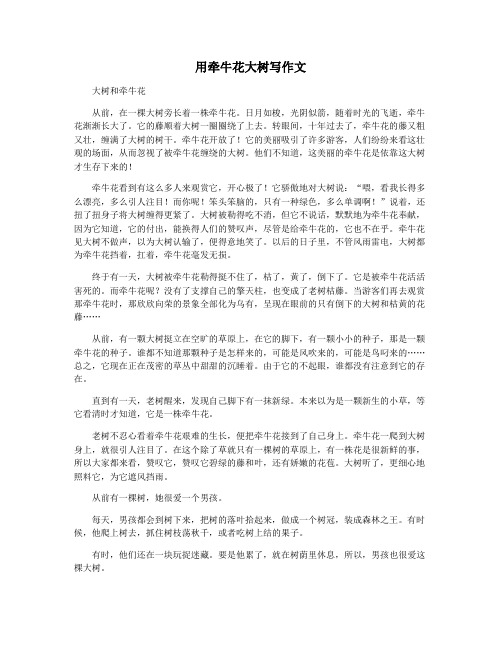 用牵牛花大树写作文