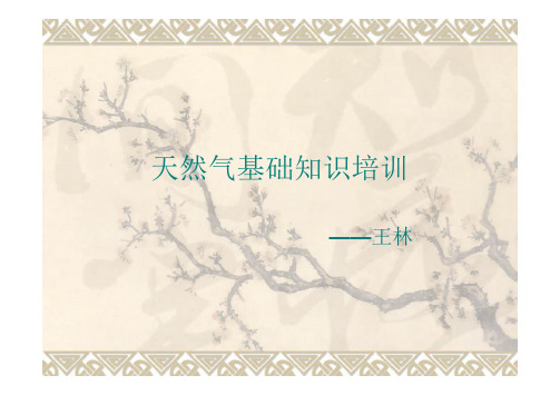 天然气基础知识