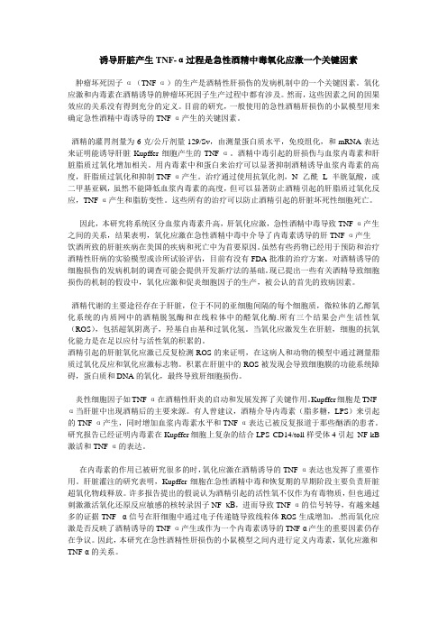 酒精性肝损伤和氧化应激