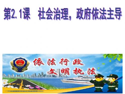 2.1社会治理,政府依法主导