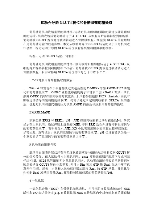 运动介导的GLUT4转位和骨骼肌葡萄糖摄取