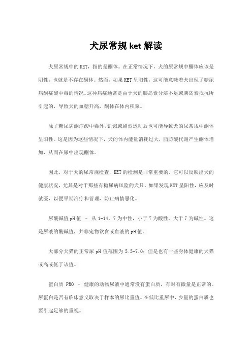 犬尿常规ket解读