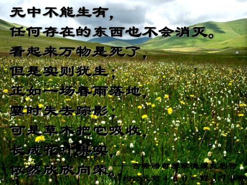 (2019年秋)沪教版九年级化学上册第4章 认识化学变化第2节 化学反应中的质量关系 课件.ppt
