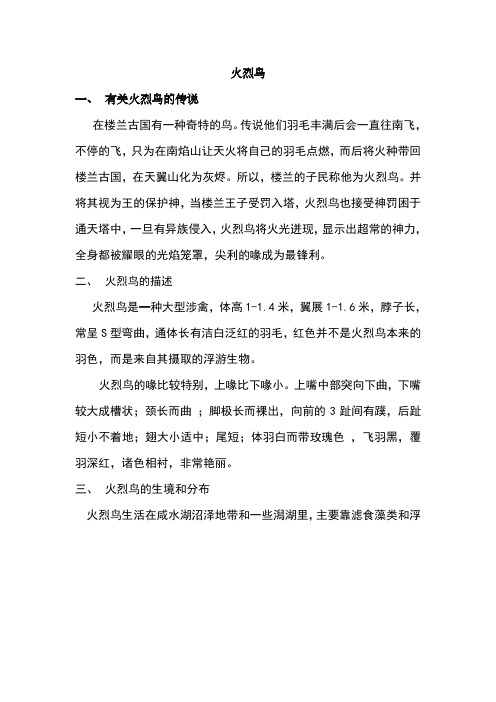 火烈鸟