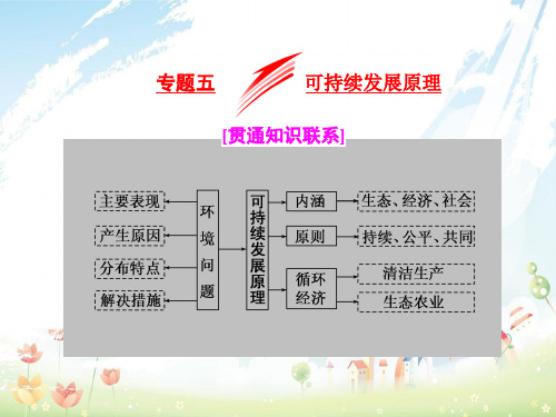 全国高考地理二轮复习五大原理+准确分析专题五可持续发展原理课件