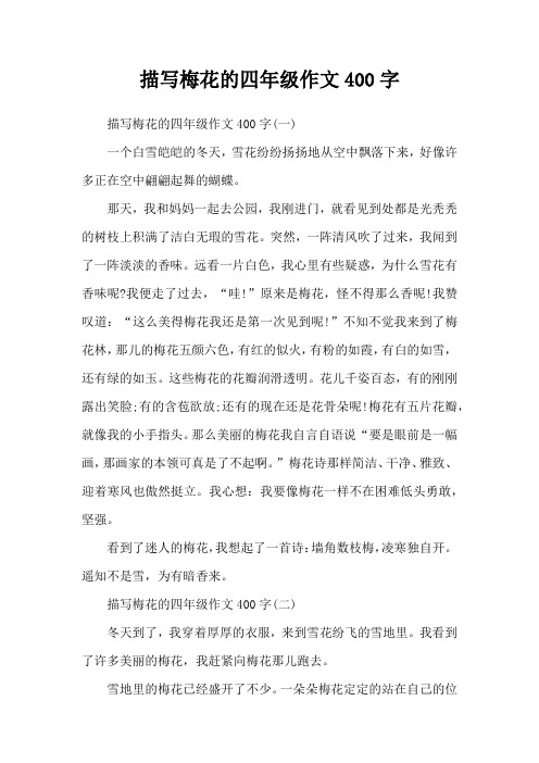 描写梅花的四年级作文400字
