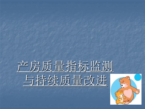产房质量指标监测ppt课件