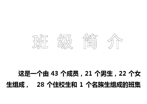 高中班级简介
