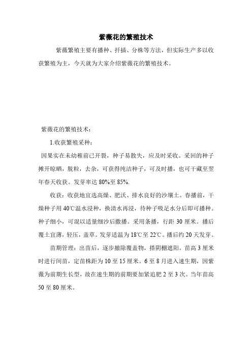 紫薇花的繁殖技术.doc