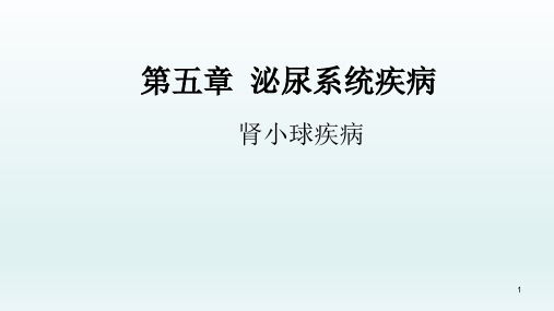 (医学课件)肾小球疾病泌尿系统疾病内科学
