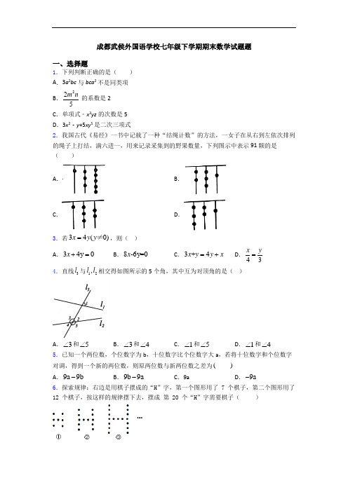 成都武侯外国语学校七年级下学期期末数学试题题