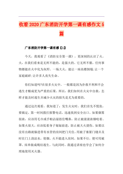 收看广东消防开学第一课有感作文5篇
