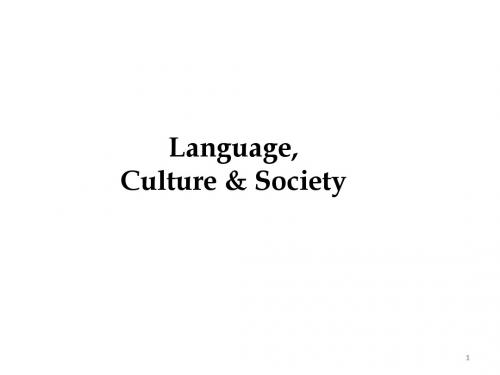 Language, Culture & Society