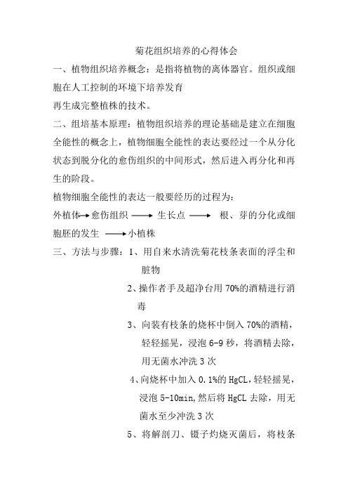 菊花组织培养的心得体会