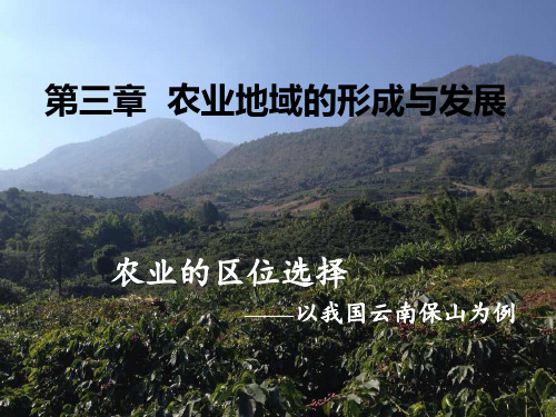 人教版高中地理必修二第三章《农业地域的形成与发展》