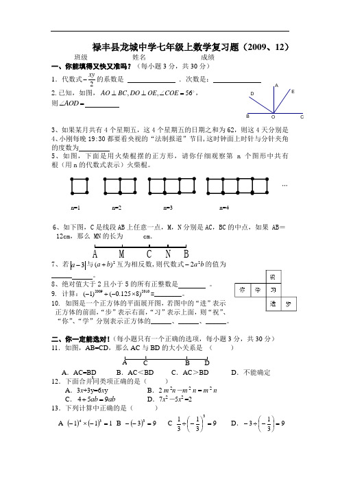 禄丰县龙城中学七年级上数学复习试题(2009、12)