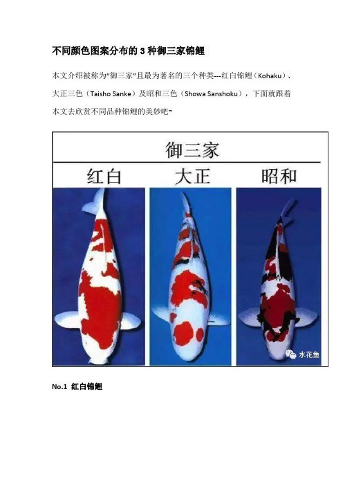 不同颜色图案分布的3种御三家锦鲤