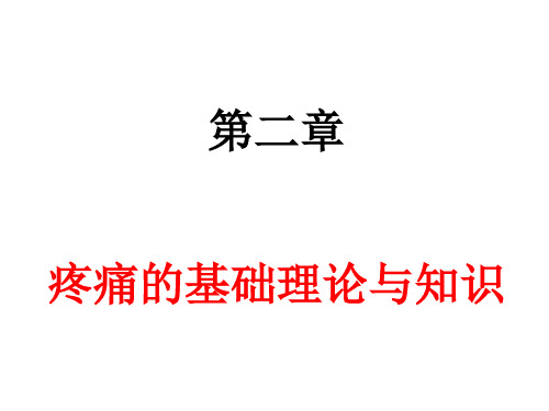 疼痛诊疗学第二章   疼痛的基础理论与知识-A