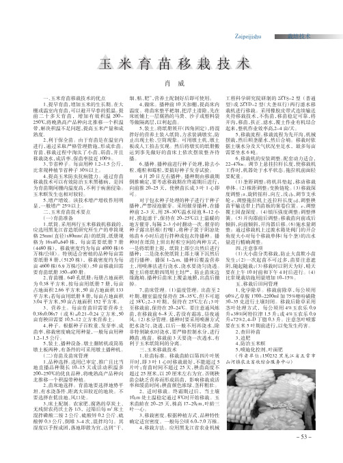 玉米育苗移栽技术