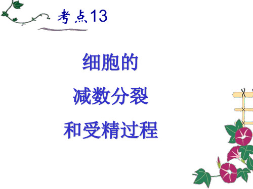 考点8  细胞的减数分裂、配子的形成过程和受精过程