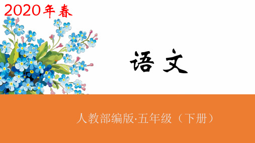 部编版跳水ppt教学课件