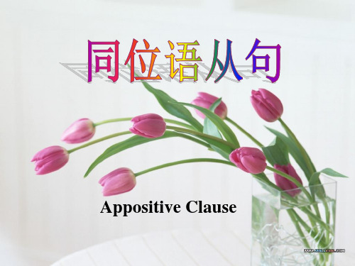 高中同位语从句课件