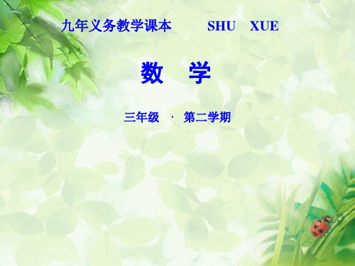 【顾亚龙】教学课件《年月日》