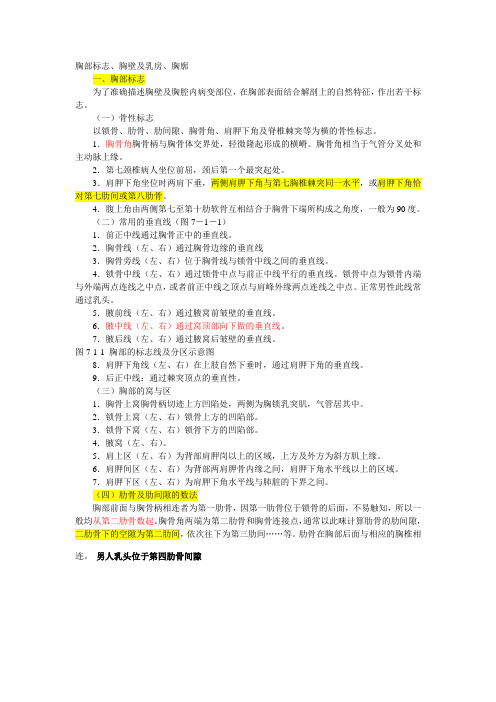 胸部标志1