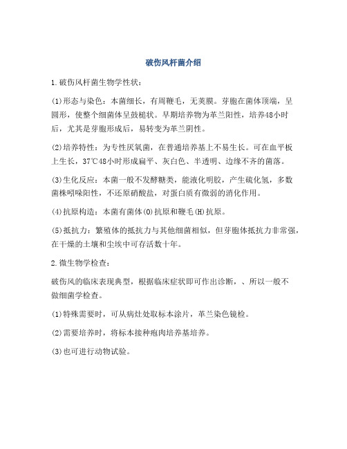 破伤风杆菌介绍