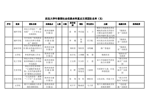 西北大学年暑期本科重点立项团队名单支