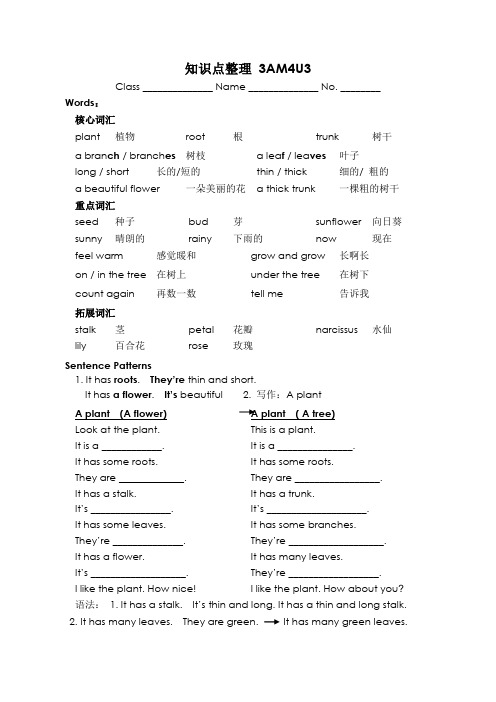 沪教版小学牛津英语三年级第一学期3A知识点整理M4U3