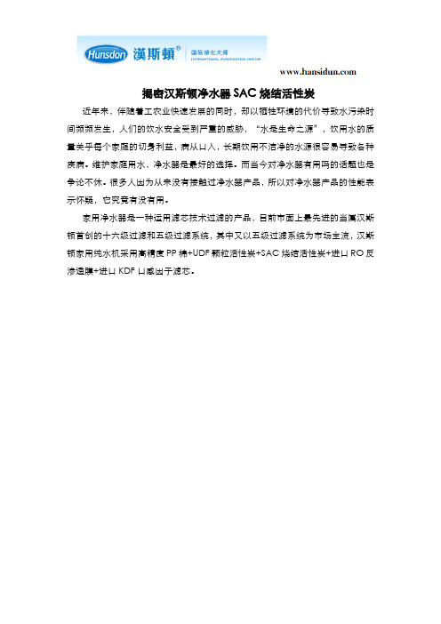 揭密汉斯顿净水器SAC烧结活性炭