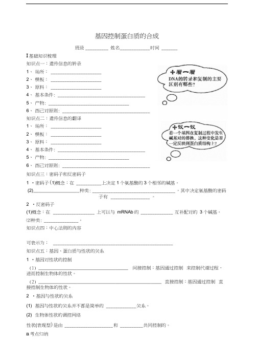 高考生物一轮复习基因控制蛋白质的合成学案苏教版必修2