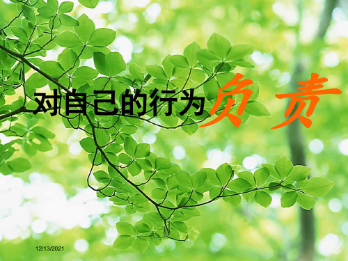 八年级政治上册 7.2 对自己的行为负责课件 苏教级上册政治课件