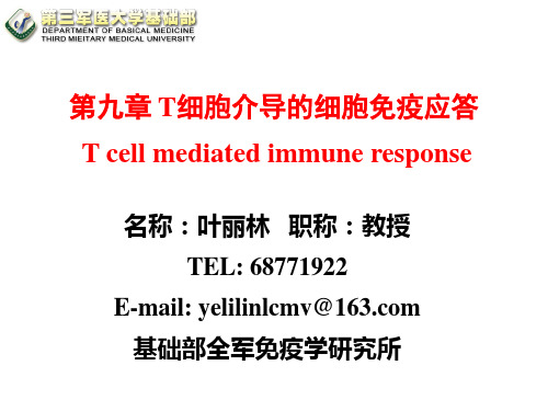 T细胞介导的免疫应答YE-2015