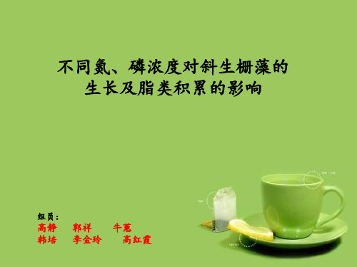 不同氮磷浓度对斜生栅藻的生长及酯类积累的影响