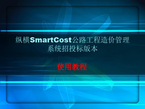 [PPT]纵横公路造价管理系统招投标版本使用教程