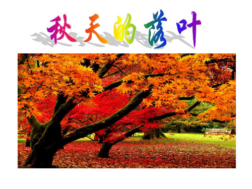 三年级下册美术课件-5.15 秋天的落叶丨岭南版 (共29张PPT)