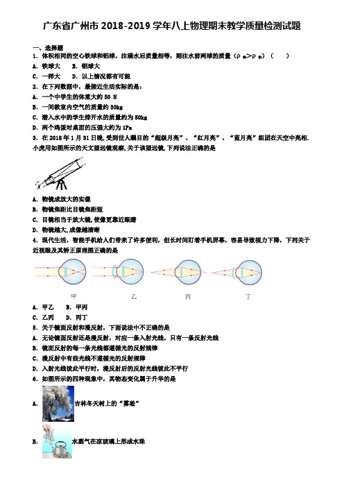 广东省广州市2018-2019学年八上物理期末教学质量检测试题