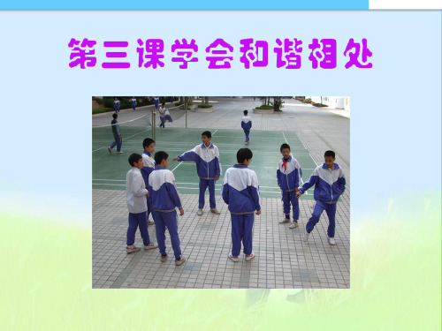 人教新课标品德与社会六年级下册《学会和谐相处》课件