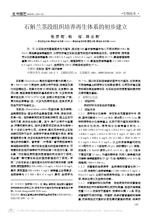 石斛兰茎段组织培养再生体系的初步建立