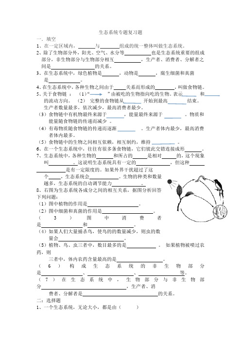 专题复习  生态系统2