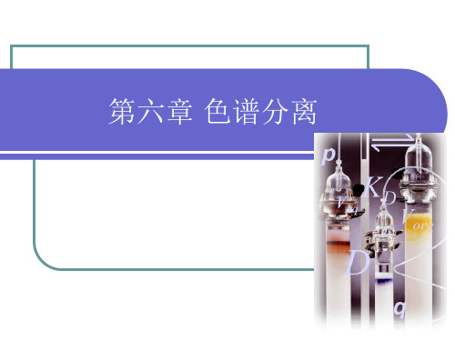 生物分离工程-第六章 色谱分离2009