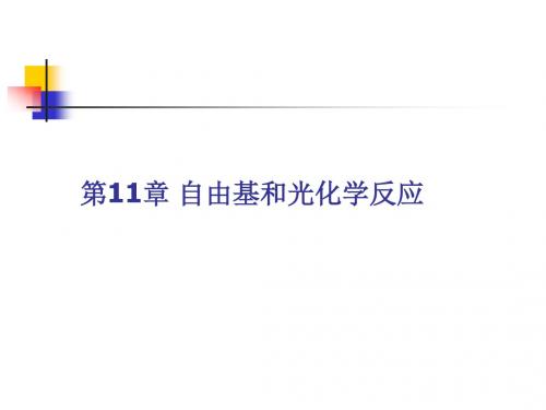 物理有机化学第11章自由基和光化学反应