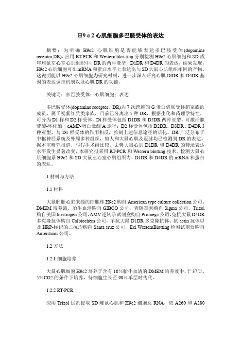 H9c2心肌细胞多巴胺受体的表达