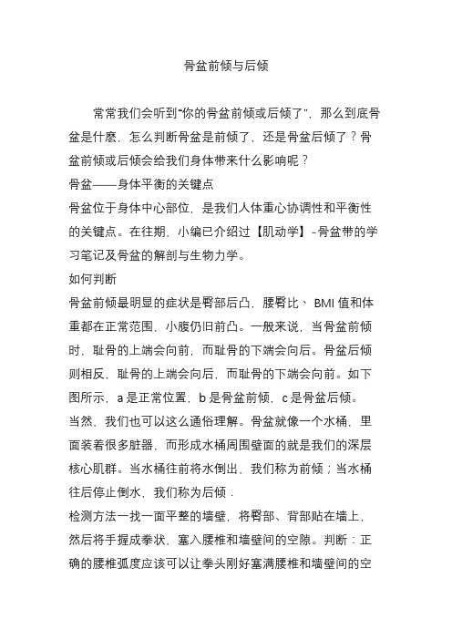 骨盆前倾与后倾