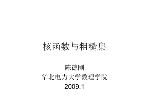 核函数与粗糙集
