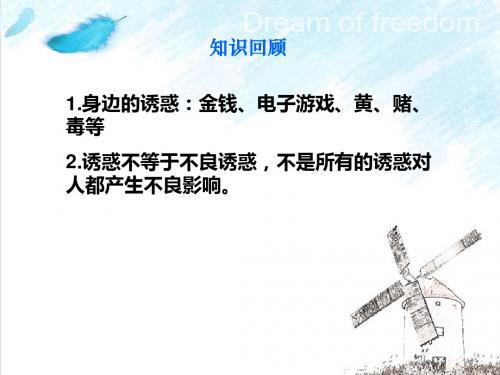 对不良诱惑说不