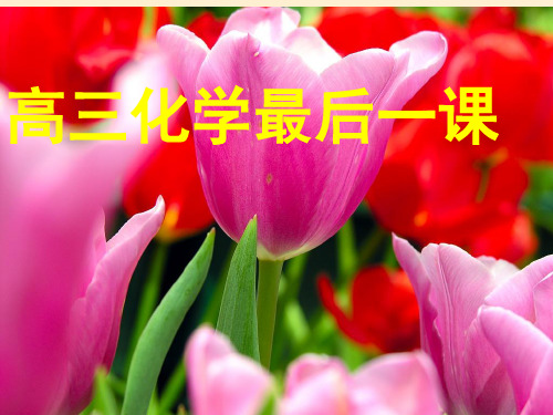 高三化学最后一课(课堂PPT)